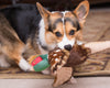 Fluff & Tuff Ike Pheasant Dog Toy (1-Count)