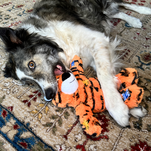 KONG Wild Knots Tiger Dog Toy