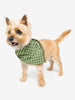 Insect Shield Trail Dog Bandana Green Small/Medium