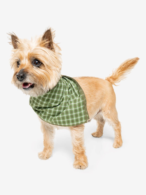 Insect Shield Trail Dog Bandana Green Small/Medium