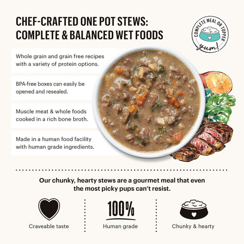 The Honest Kitchen One Pot Stews Roasted Beef Stew with Kale Sweet Potatoes & Carrots Wet Dog Food (10.5 oz)