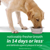TropiClean Fresh Breath Dental Health Solution for Dogs (16-oz)