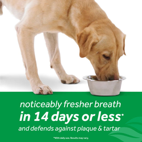 TropiClean Fresh Breath Dental Health Solution for Dogs (16-oz)