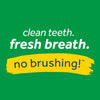 TropiClean Fresh Breath Dental Health Solution for Dogs (16-oz)