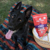 Stella & Chewy's Freeze-Dried Raw Dinner Patties For Dogs Absolutely Rabbit Recipe