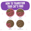 Weruva B.F.F. PLAY PATÉ! Bodacious Tuna & Beef Dinner in a Hydrating Purée Cat Food