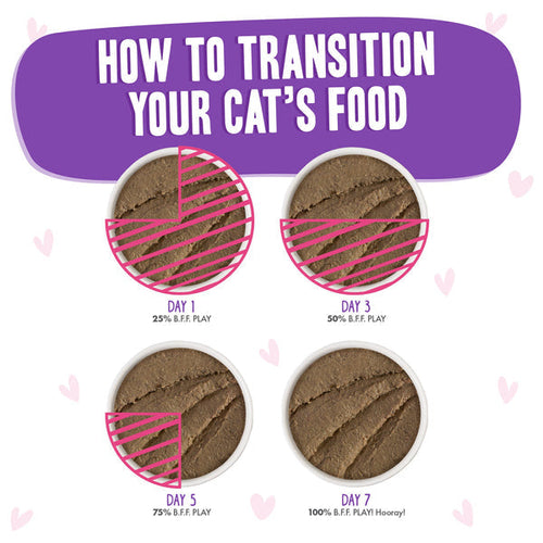 Weruva B.F.F. PLAY PATÉ! Bodacious Tuna & Beef Dinner in a Hydrating Purée Cat Food