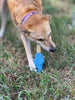 SodaPup Petz Rubber Yak Chew Holder