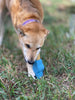 SodaPup Petz Rubber Yak Chew Holder