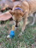 SodaPup Petz Rubber Yak Chew Holder