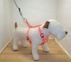 Locatis Reflective Small No Pull Harness