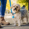 NiteDog® WearAbout® Pet Clippable Tracker Holder