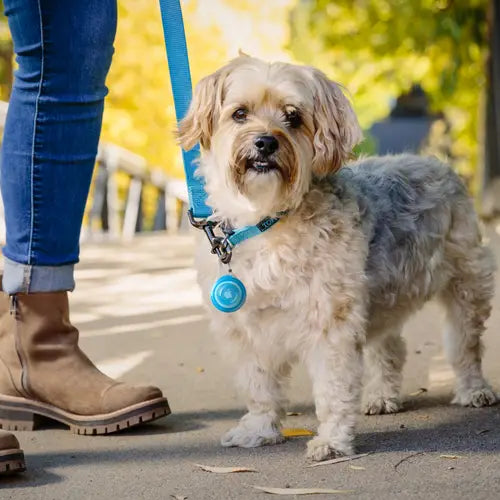 NiteDog® WearAbout® Pet Clippable Tracker Holder