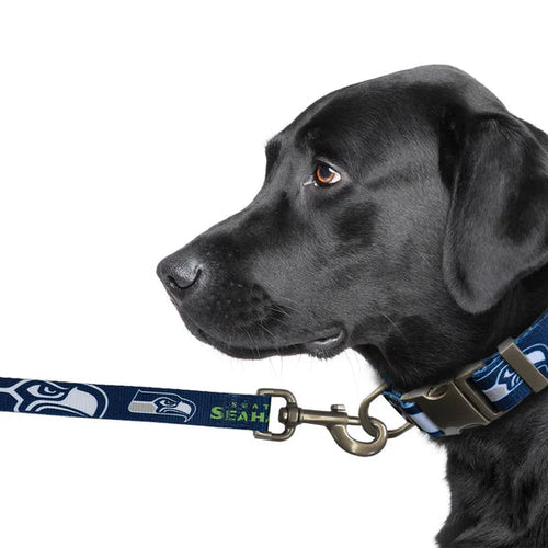 Little Earth Seattle Seahawks Premium Pet Lead