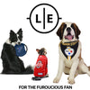 Little Earth Seattle Seahawks Premium Pet Lead