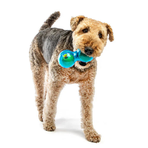 Guru Duo Ball Dog Toy