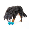 Guru Duo Ball Dog Toy