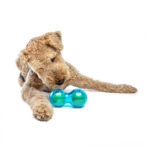 Guru Duo Ball Dog Toy