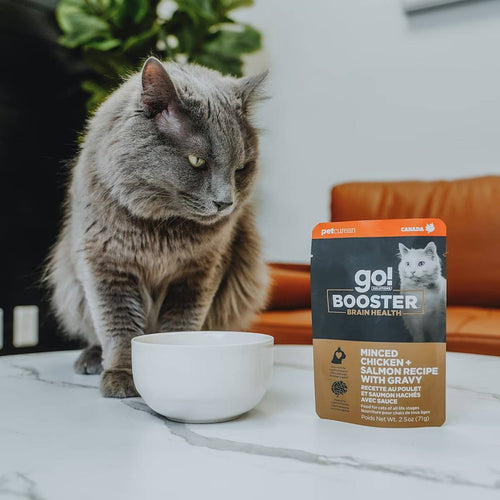 Petcurean Go! Solutions Minced Chicken + Salmon with Gravy for Brain Health Wet Cat Food