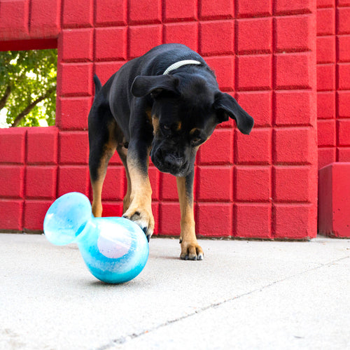 KONG Rewards Tipsy Dog Toy