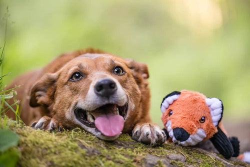 P.L.A.Y. Forest Friends Forest the Fox Dog Toy