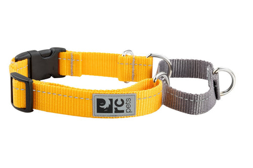 RC Pet Primary Web Training Clip Collar