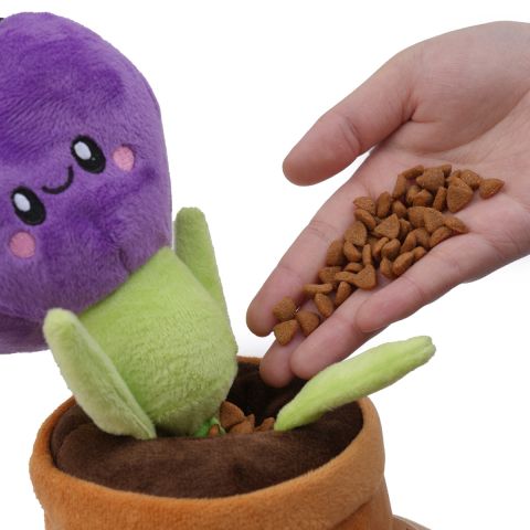Territory Flower Treat-and-Tug Dog Toy