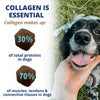 Under the Weather Collagen Chews for Dogs