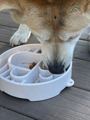 SodaPup Java Design eBowl Enrichment Slow Feeder Bowl for Dogs