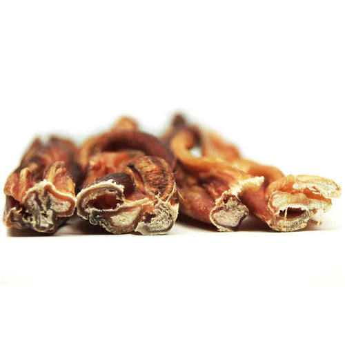 Tuesdays Natural Dog Company Thick Braided Bully Stick - Odor Free (Bulk)