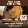 Wellness CORE Grain Free Natural Indoor Health Chicken and Turkey Recipe Dry Cat Food
