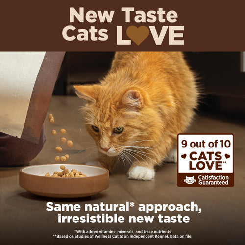 Wellness CORE Grain Free Natural Indoor Health Chicken and Turkey Recipe Dry Cat Food
