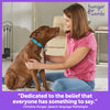 Brightkins Talking Pet Doorbell Dog Toys