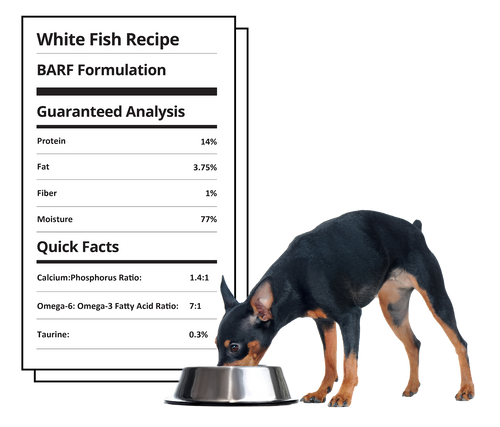 Steve's Real Food White Fish Recipe Frozen Raw Dog Food