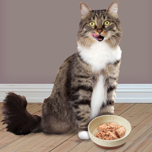 Ethical Pet Spot Sedona Dish Cat Chestnut Brown 5″