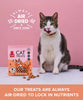Plato Chicken Cat Treats