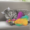 KONG Cat Wubba Fish Assorted Cat Toy