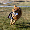 KONG Wubba Sport, Soccer Ball Dog Toy