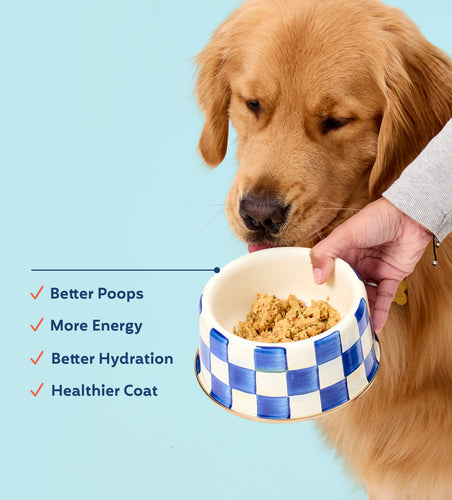 My Perfect Pet Turkey and Wild Salmon Hunter's Frozen Dog Food
