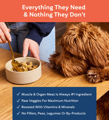 My Perfect Pet Turkey and Wild Salmon Hunter's Frozen Dog Food