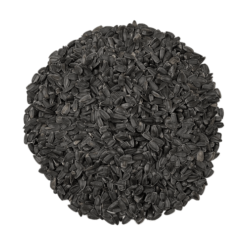 Scratch and Peck Feeds Organic Black Oil Sunflower Seeds