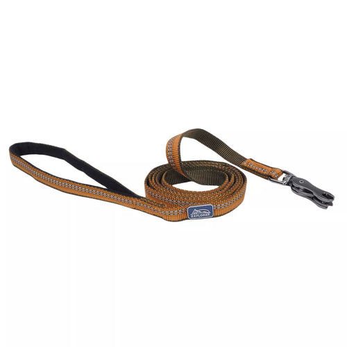 Coastal Pet K9 Explorer Reflective Dog Leash with Scissor Snap
