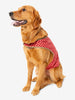 Insect Shield Trail Dog Vest Red*