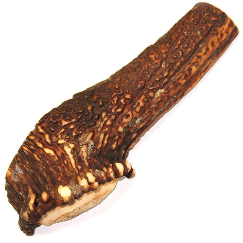 Tuesdays Natural Dog Company Royal Brown Deer Antler Large Split Dog Treats (Bulk)