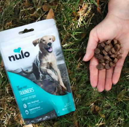 Nulo FreeStyle Training Treats Salmon Recipe for Dogs (16 oz)