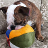 Fluff & Tuff Beach Ball Plush Dog Toy (Large)