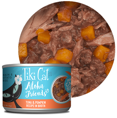 Tiki Cat® Aloha Friends™ Tuna & Pumpkin Wet Cat Food (5.5 oz)