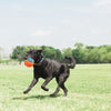 Petmate Chuckit! Rope Fetch (Orange)