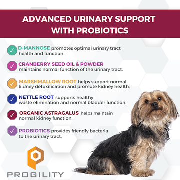 Nootie Progility Urinary Support Soft Chew Health Supplement For Dogs (90 Count)